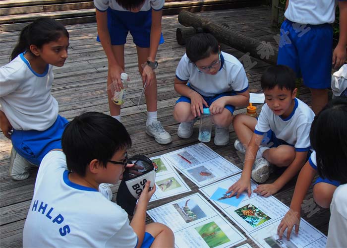 營地教育:讓孩子們在經歷中收獲成長 營地教育:讓孩子們在經歷中收獲成長